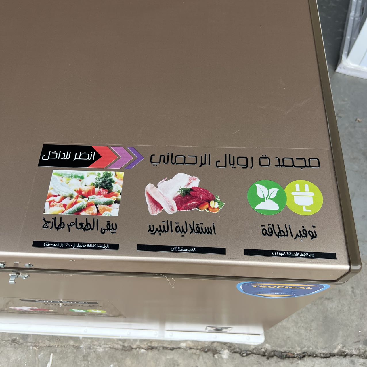 320L Horizontal Deep Freezer,  - Commercial Chest Freezer incelemesi ve fiyatı