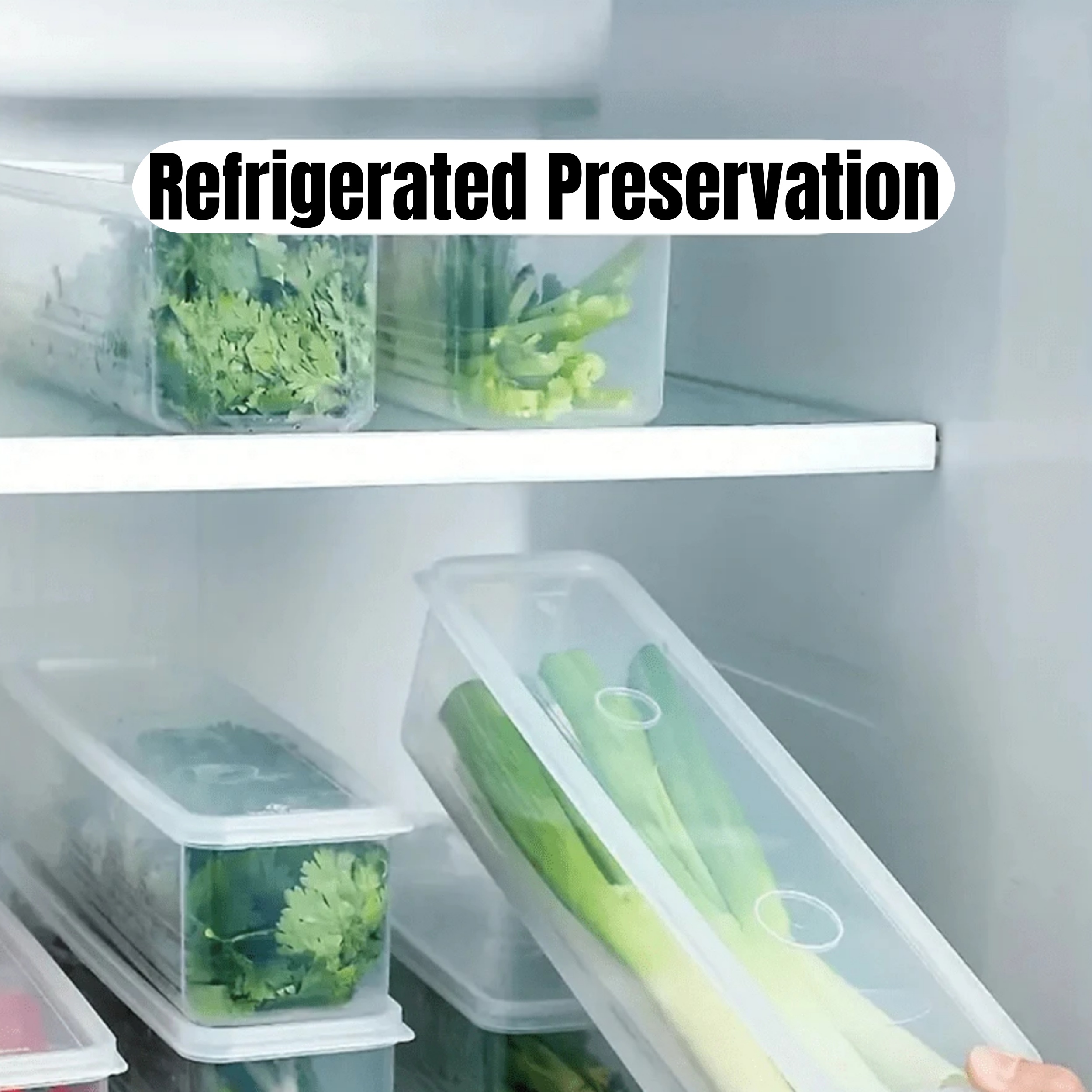 1/2/4Pcs Refrigerator Storage  - Commercial Kitchen Refrigerator incelemesi ve fiyatı