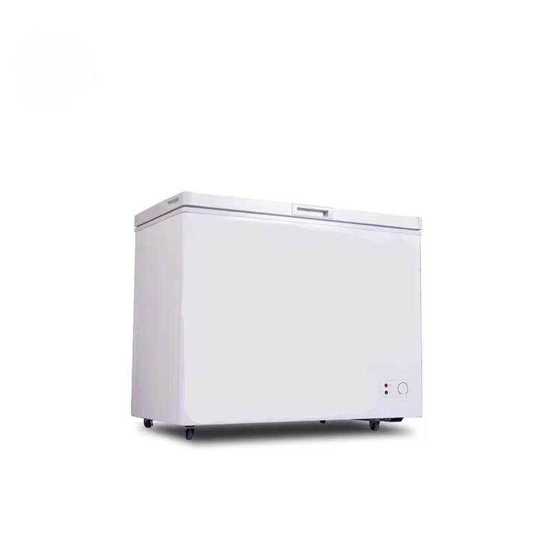 100~300 Liters Small Capacity  - Commercial Chest Freezer incelemesi ve fiyatı